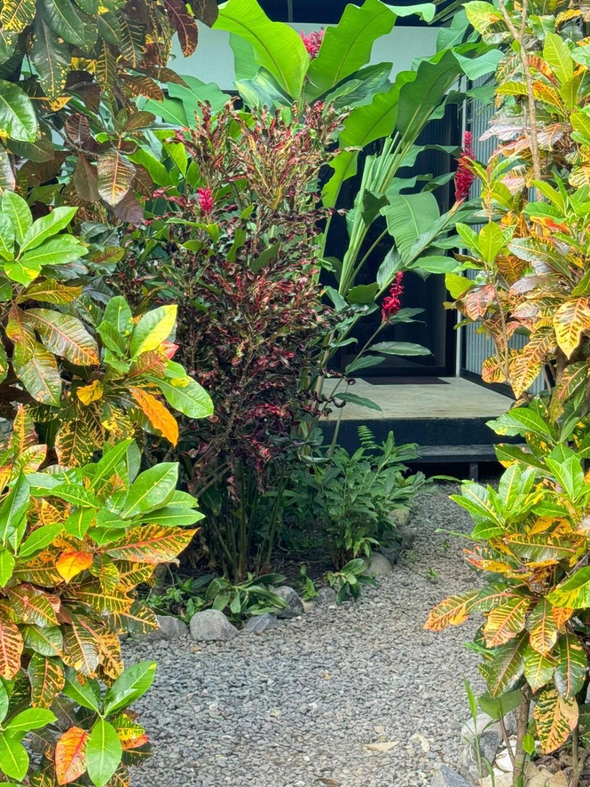 Luz De Estrella Studios Cabuya (Puntarenas) Exterior foto